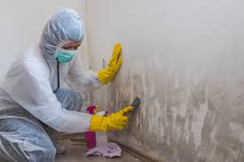 Mold Remediation for Vacation Homes in Rock Hall, MD